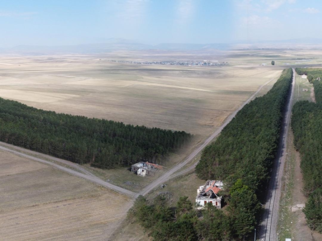 Bu g&ouml;r&uuml;nt&uuml;ler T&uuml;rkiye'den! Bozkırın ortasındaki &lsquo;vaha&rsquo; g&ouml;renleri b&uuml;y&uuml;l&uuml;yor