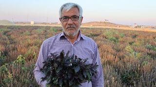 Kilosu 70 lira! 24 yılda üzerinde çalıştığı tohumla kentin en önemlisi oldu