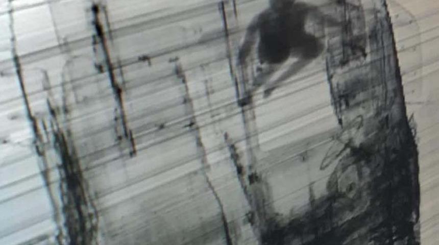 TIR'ın gizli bölmesinde Türkiye'de girerken yakalandı  