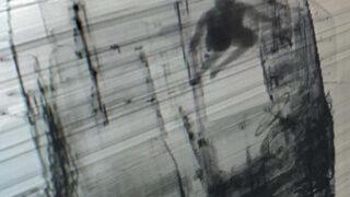 TIR'ın gizli bölmesinde Türkiye'de girerken yakalandı  