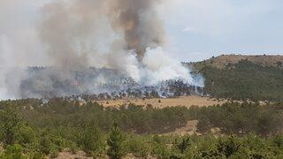 Burdur'da çıkan orman yangını kontrol altına alınmaya çalışılıyor