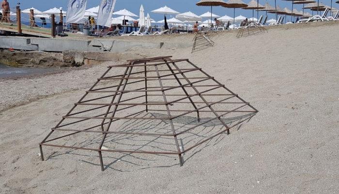 Alanya'da caretta carettalar denizle buluştu: 500'ün üzerinde yuva var