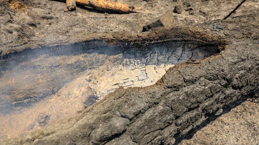 Manavgat'ta ağaçlar içten içe yanmaya devam ediyor