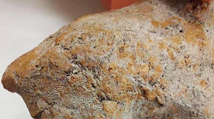 Yer: Bilecik! Hayvan figüründe 9 bin yıllık parmak izi