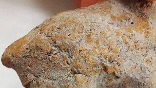 Yer: Bilecik! Hayvan figüründe 9 bin yıllık parmak izi