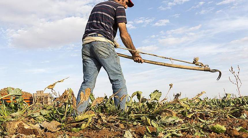 Tarım ve Orman Bakanlığı'ndan üreticilere 210 milyon liralık ödeme