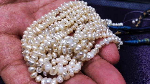 Türkiye'nin sayılı inci uzmanı, gerçek incileri bir bakışta anlıyor! Bu incinin gramı altından 4 kat daha pahalı