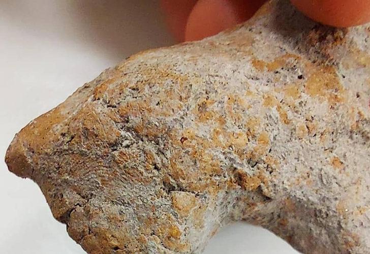 Bu parmak izi tam 9 bin yıllık! İlk bakışta anlaşılmıyor