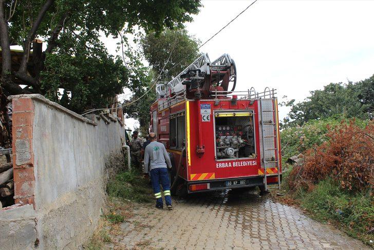 Tokat'ta saman balyalarının tutuşturduğu iki ev yandı G1