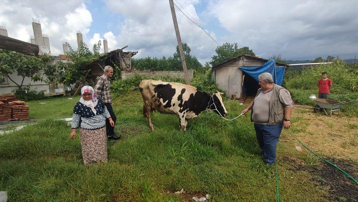 Sakaryalı şehit babası orman yangını mağdurlarına ineğini bağışlayarak destek verdi G1
