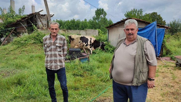 Sakaryalı şehit babası orman yangını mağdurlarına ineğini bağışlayarak destek verdi G2
