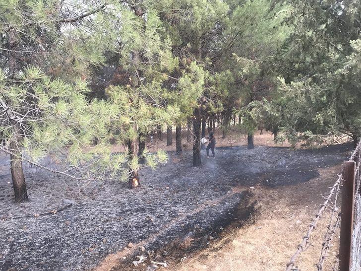 Adıyaman'da ormanlık alanda çıkan yangın söndürüldü G5