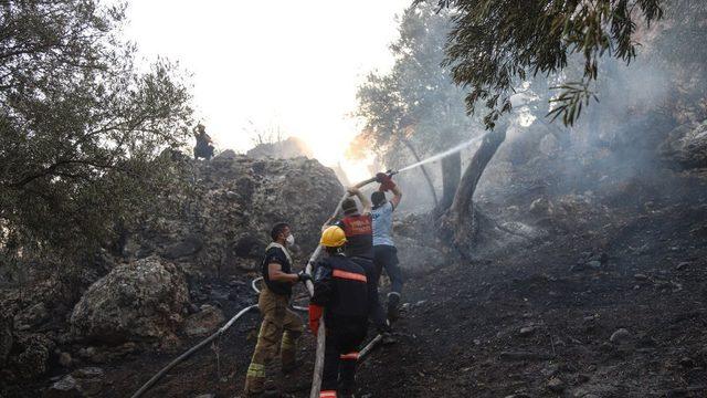 Bakan Ersoy: Antalya, Bodrum, Marmaris'teki yangınlar söndürüldü