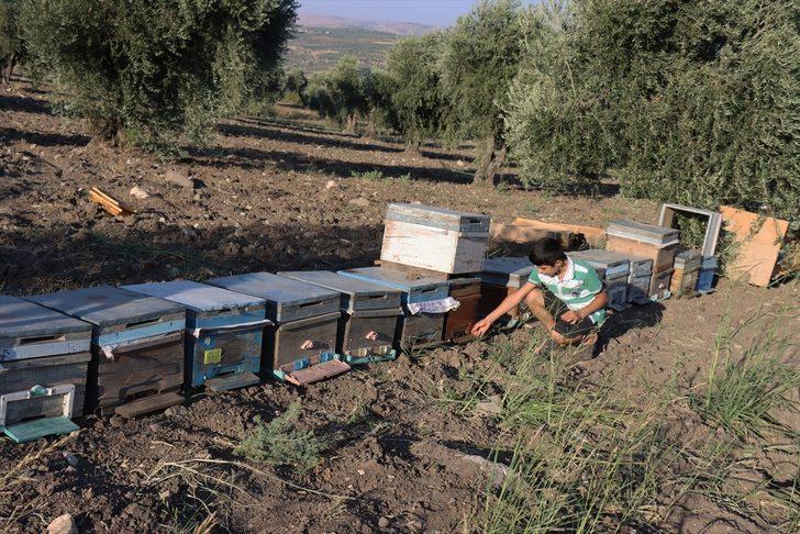 Kilisli "gezgin balcı" kaliteli üretim için yaylaları geziyor G4