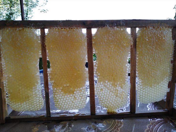 Kilisli "gezgin balcı" kaliteli üretim için yaylaları geziyor G5