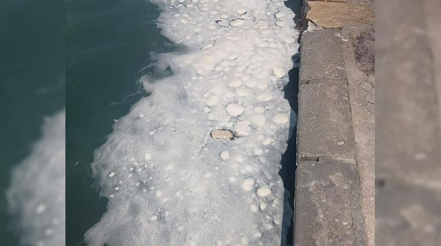 Ne olduğu ve nereden geldiği bilinmiyor! Datça'da köpükler tatilcileri tedirgin etti