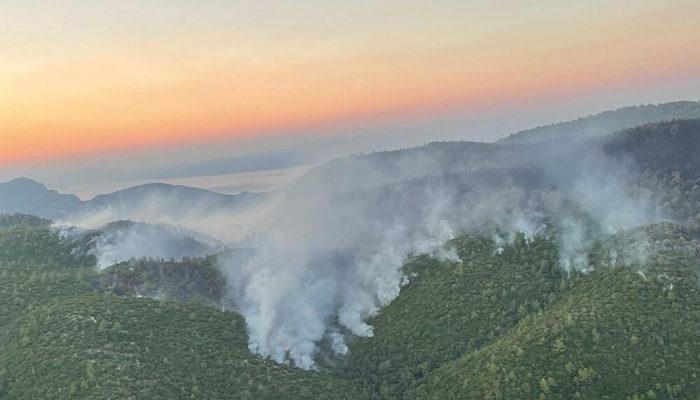 Türkiye'deki orman yangınlarında son durum (Hangi yangınlar söndürüldü, hangi yangınlar devam ediyor?)