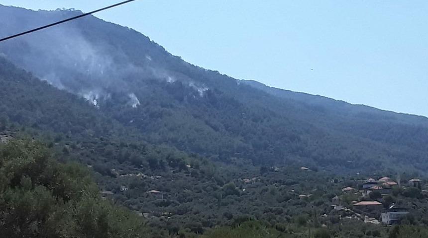 Aydın Valiliği'nden Çine'deki yangına ilişkin açıklama