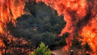 Yunanistan'da yangın söndürme uçağı düştü