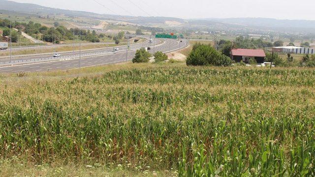 5 bin liralık arsa fiyatı 500 bin liraya fırladı! İşte nedeni