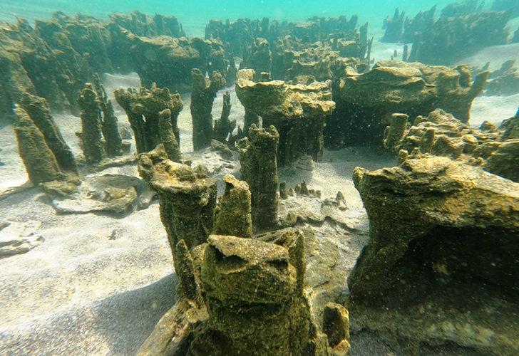 Van Gölü'nde yeni mikrobiyalitler keşfedildi G1