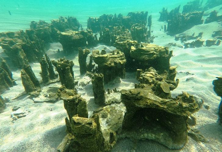 Van Gölü'nde yeni mikrobiyalitler keşfedildi G2