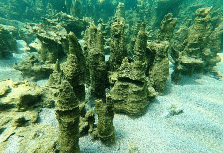 Van Gölü'nde yeni mikrobiyalitler keşfedildi G3