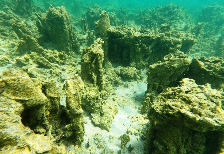 Van Gölü'nde yeni mikrobiyalitler keşfedildi G4