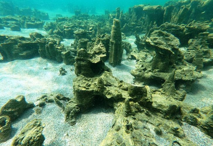 Van Gölü'nde yeni mikrobiyalitler keşfedildi G5