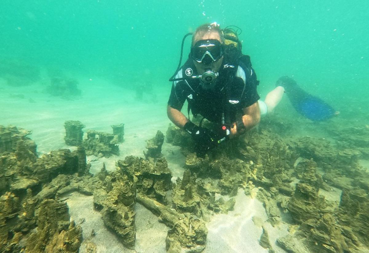 Van G&ouml;l&uuml;'nde yeni mikrobiyalitler keşfedildi