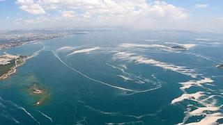 Deniz salyasının ardından yeni tartışma: Marmara Denizi'nde av sezonu ertelenmeli mi?