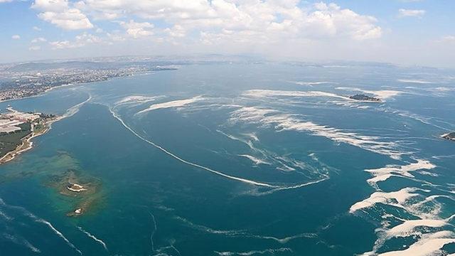 Deniz salyasının ardından yeni tartışma: Marmara Denizi'nde av sezonu ertelenmeli mi?
