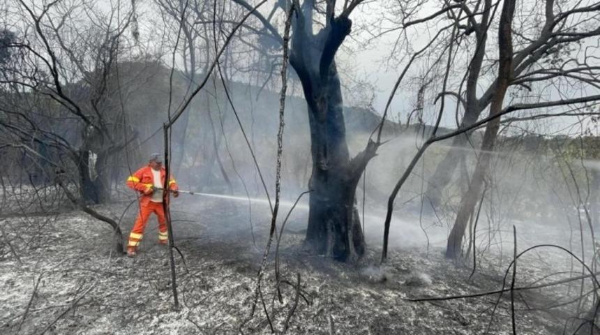 İtalya orman yangınlarıyla nasıl m&uuml;cadele ediyor?