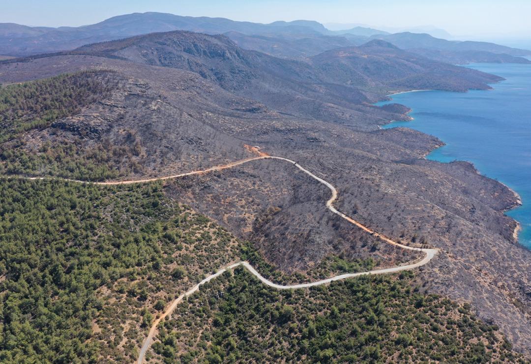 Muğla'da acı tablo! Yanan yerlerin y&uuml;rekleri dağlayan g&ouml;r&uuml;nt&uuml;leri