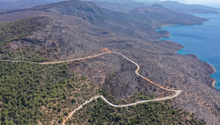 Muğla'da acı tablo! Yanan yerlerin yürekleri dağlayan görüntüleri