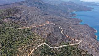 Muğla'da acı tablo! Yanan yerlerin yürekleri dağlayan görüntüleri