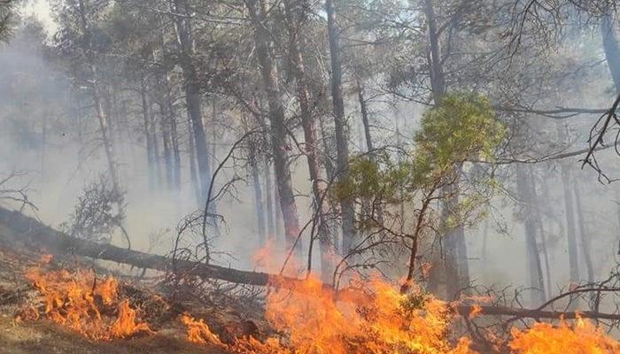 Antalya'dan kötü haber: Bir yangın daha çıktı