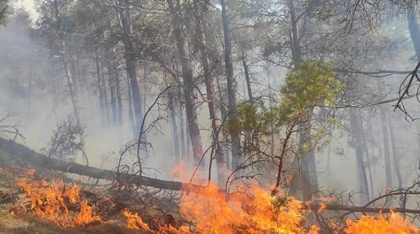 Antalya'dan kötü haber: Bir yangın daha çıktı