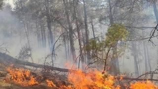 Antalya'dan kötü haber: Bir yangın daha çıktı