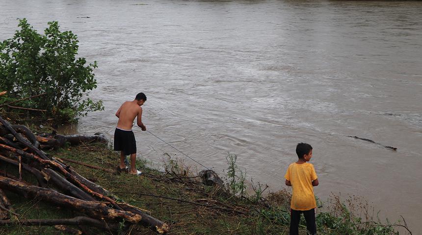 Seli fırsata çevirdiler! Taşan nehirden tek tek topladılar