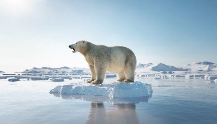 İklim değişikliği: BM İklim Raporu'ndan öğrendiğimiz 5 önemli konu