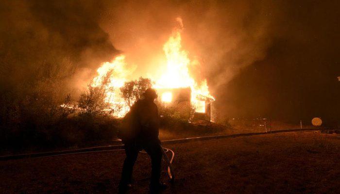 Bir aydır devam ediyor! California'daki yangında yok olan ormanlık alan 200 bin hektara yaklaştı