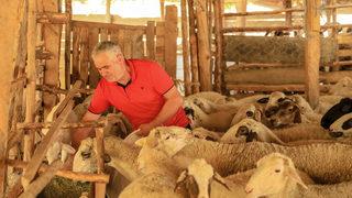 Yangından 300 koyunla 30 kilometre boyunca kaçtı! Manavgat yangınından çarpıcı hikaye