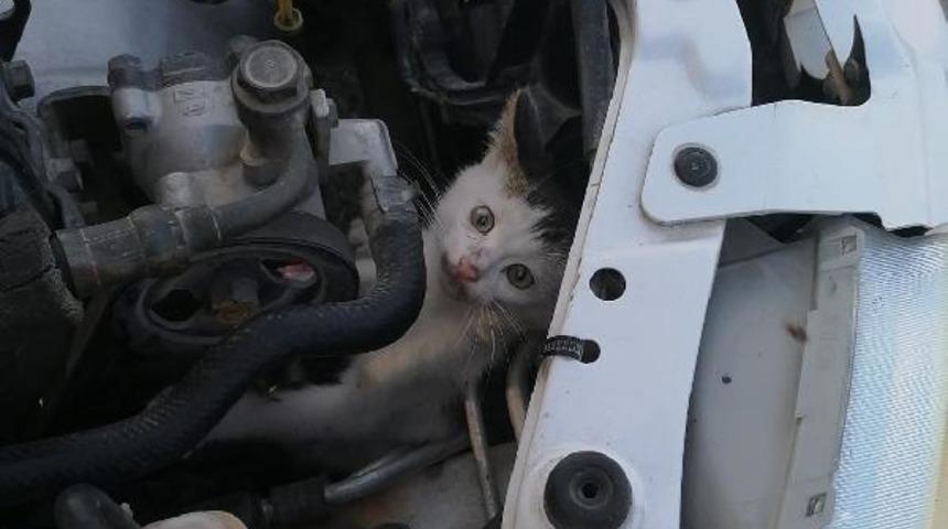Otomobilin motoruna giren kedi, itfaiye ekipleri tarafından çıkarıldı