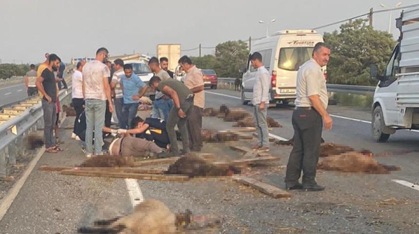 Iğdır'da korkunç manzara! Kazayı gören ekipleri aradı