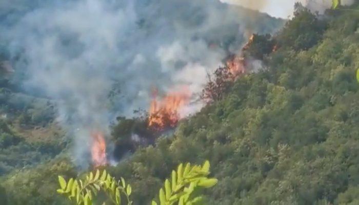 Son Dakika: İstanbul'da orman yangını