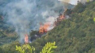 Son Dakika: İstanbul'da orman yangını