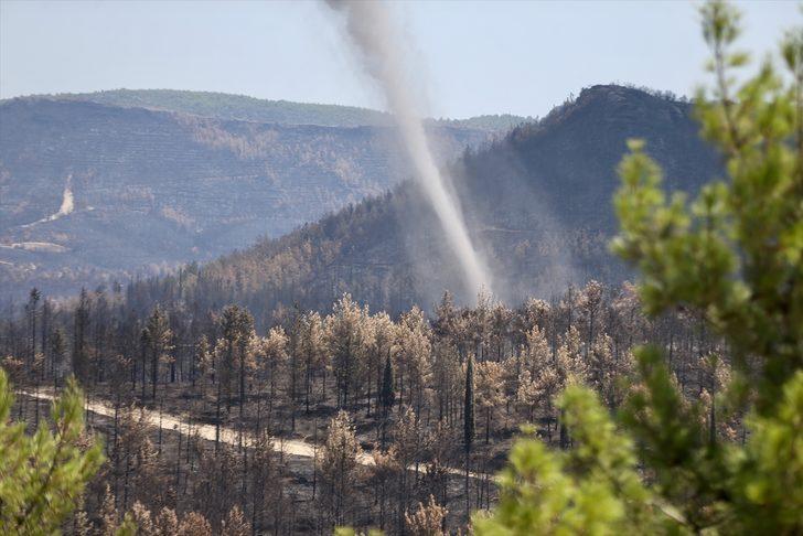 Manavgat'ta yanan ormanlık alanlarda hasar tespit çalışmaları sürüyor G1