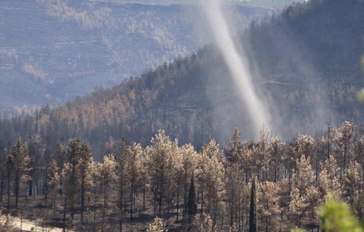 Manavgat'ta yanan ormanlık alanlarda hasar tespit çalışmaları sürüyor G2
