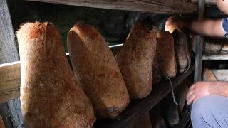 Tek tek yerleştirdiler! Dört ay boyunca mağarada tutulacak